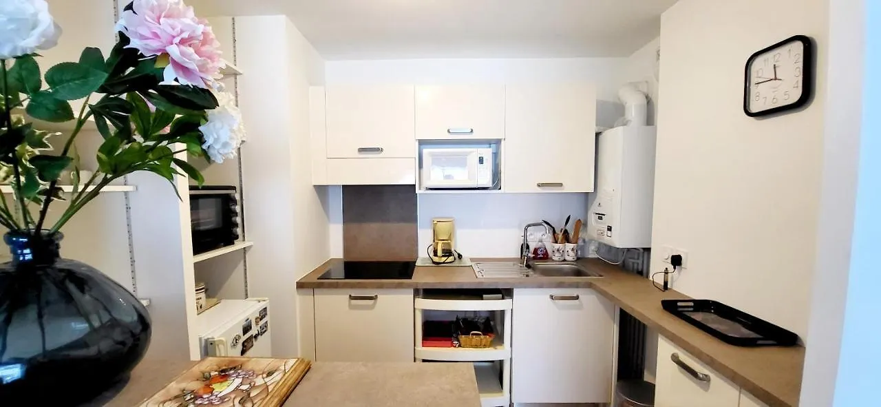 Appartement Moderne Finement Decore Avec Balcon A Vannes Centre France